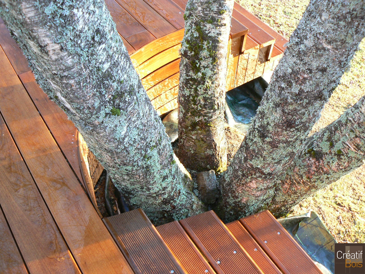 Terrasse Bois et entourage d'un arbre BUGEAT - Corrèze 19 Terrasse Bois et entourage d'un arbre BUGEAT - Corrèze 19