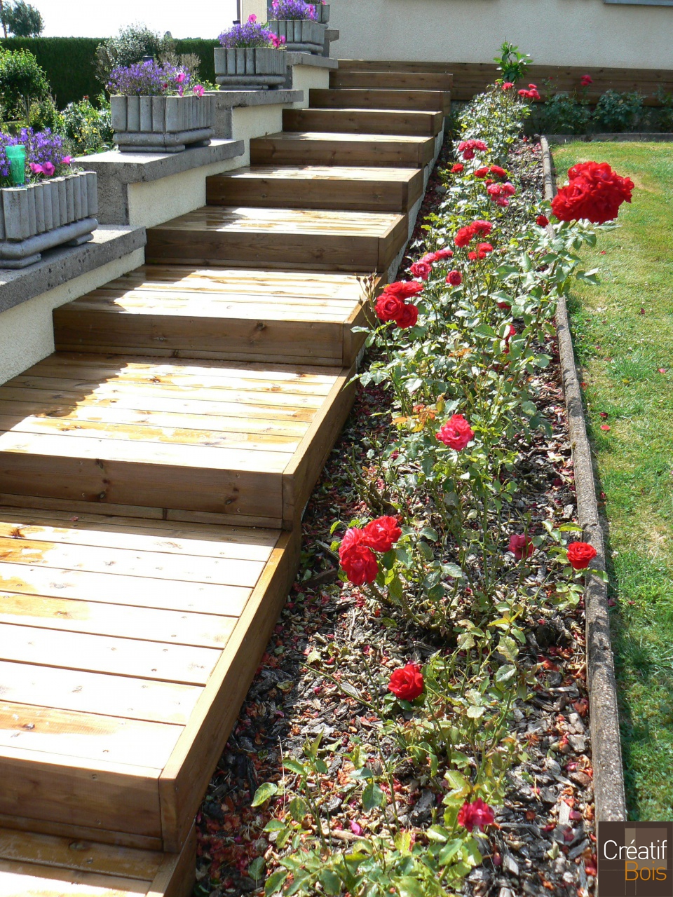 Chemin d’accès en Pin Rouge du Nord SAINT PRIEST LA PLAINE - Creuse 23 Chemin d’accès en Pin Rouge du Nord SAINT PRIEST LA PLAINE - Creuse 23