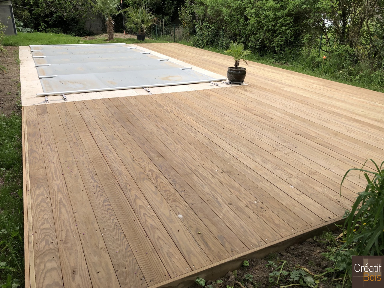 Plage de piscine en Pin de Caroline - BRIVE - 19 Corrèze Plage de piscine en Pin de Caroline - BRIVE - 19 Corrèze