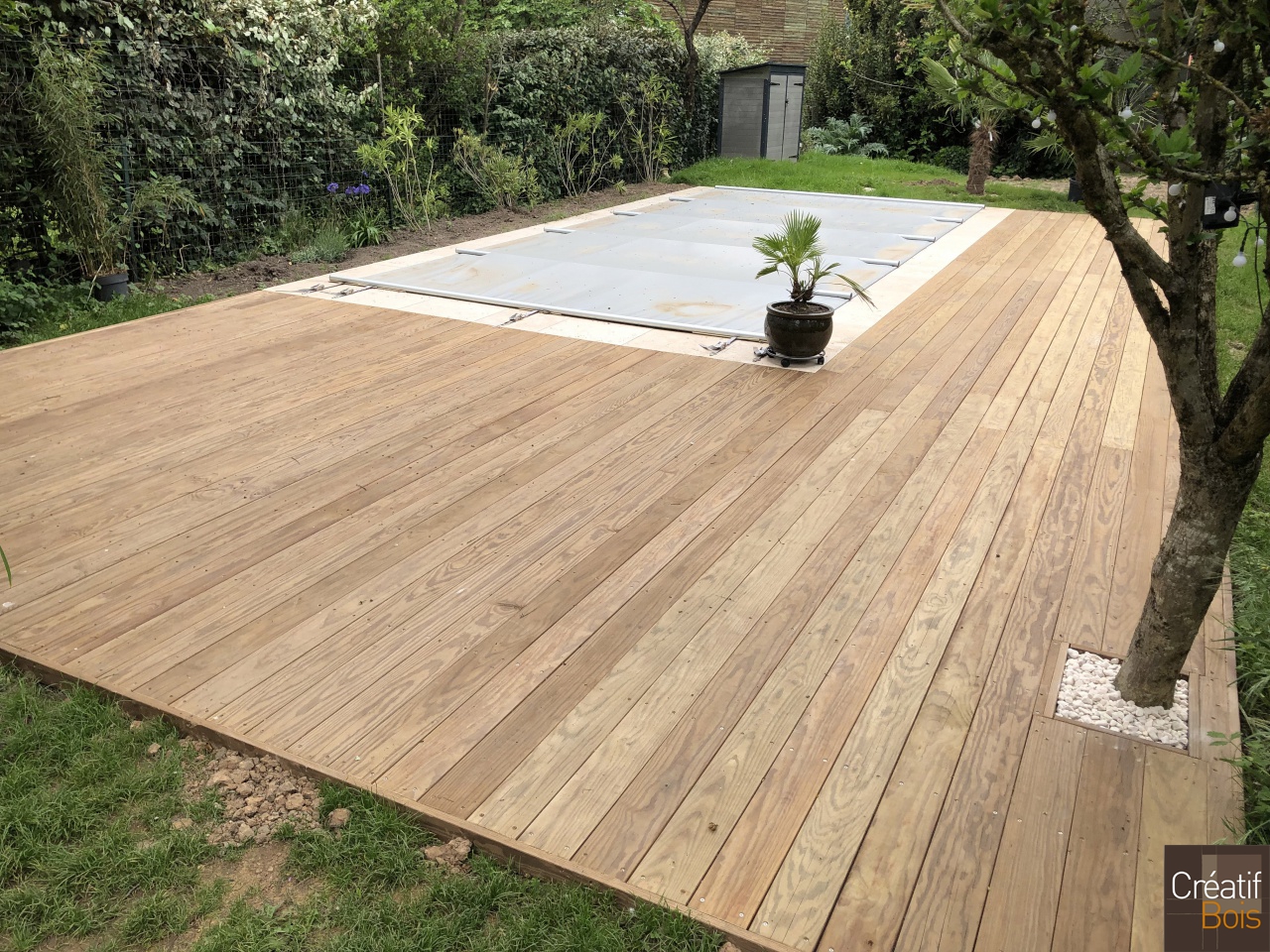 Plage de piscine en Pin de Caroline - BRIVE - 19 Corrèze Plage de piscine en Pin de Caroline - BRIVE - 19 Corrèze